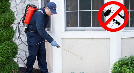 Rize Bit İlaçlama böcek ilaçlama ve haşere kontrolü — ilaclama-tr.com